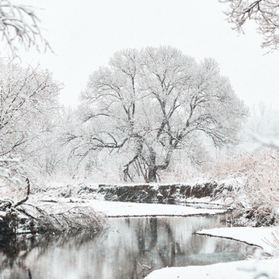 KWL im Winter